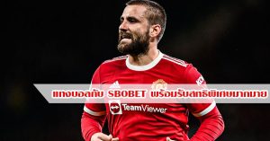 แทงบอล sbobet